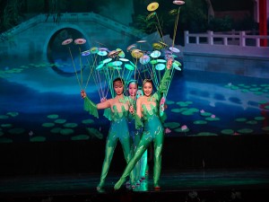 Chinese Acrobats